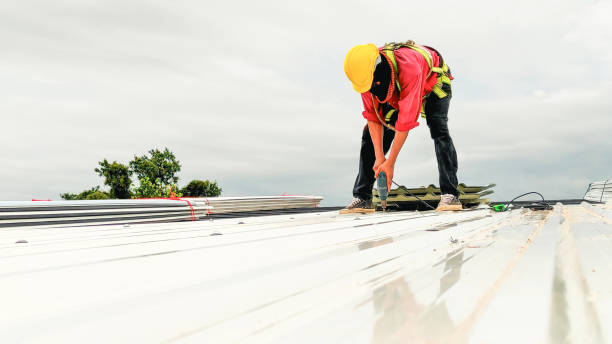 Best Metal Roofing Installation  in Mount Gilead, NC